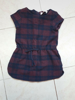 Zara dress