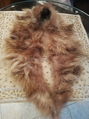 Fur collar from natural FOX fur new, beige brown
