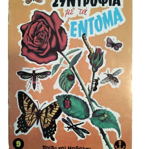 Companionship with Insects children's book in good condition