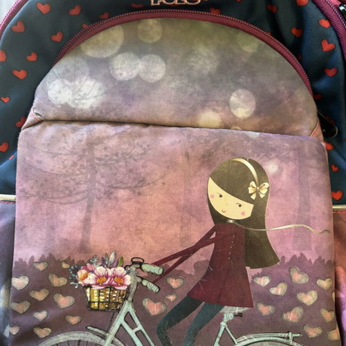Polo school backpack used with 5 compartments and waterproof