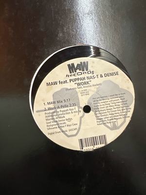 Vinyl record used