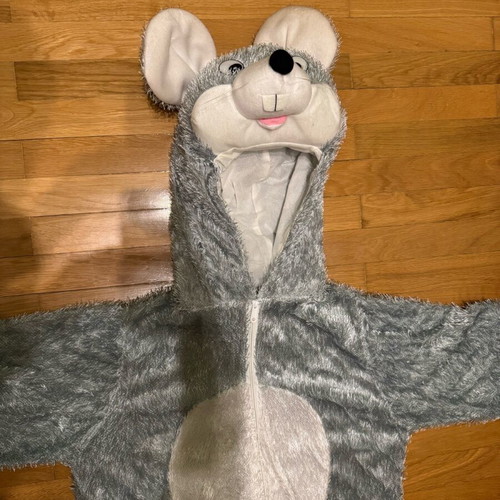 Adult Mouse Carnival Costume used, size M/L