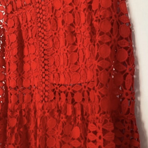 Red dress long-sleeve lace embroidery bell sleeve, lined, regular fit