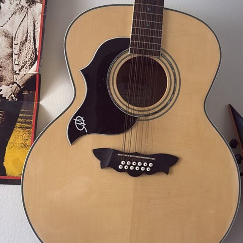 Washburn 12 String Acoustic Guitar New with Hard Case