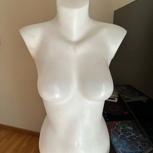 Plastic Display Bust Like New, White, 61 cm Height