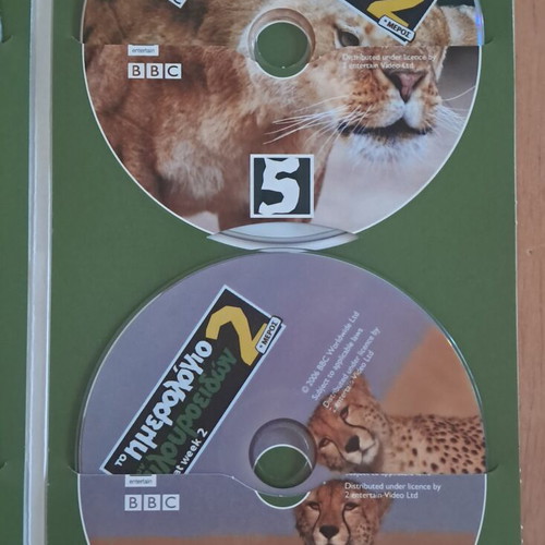 DVD The Big Cat Diary Part 2 like new