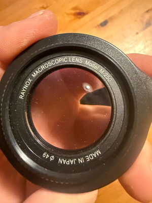Raynox DCR-250 macro adapter used