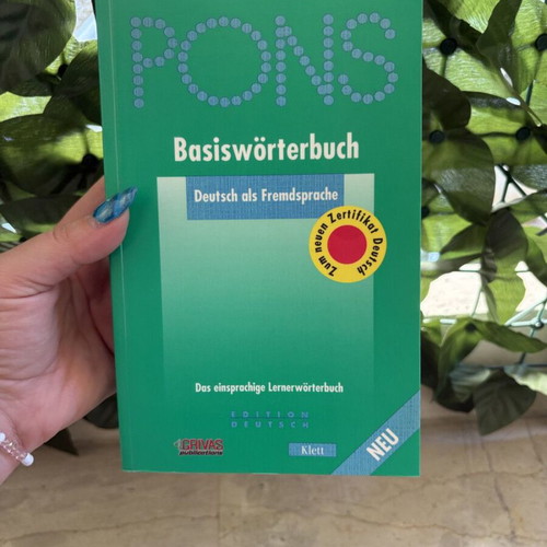 Basiswörterbuch Deutsch als Fremdsprache German dictionary like new