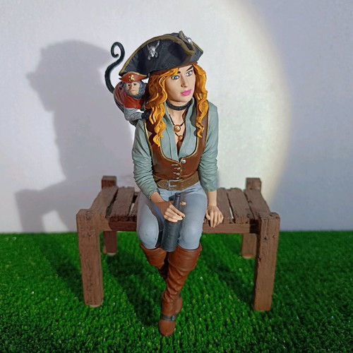 Pirate Girl 3D Printed Statue like new with Monkey Companion