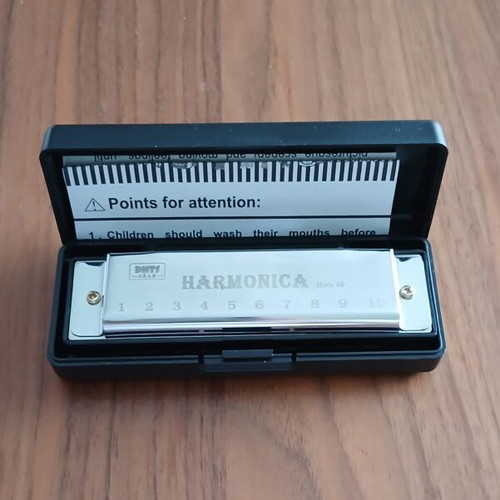 Diatonic Harmonica 10 Holes New with Case