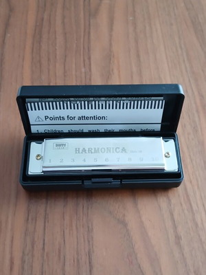 Diatonic Harmonica 10 Holes New with Case