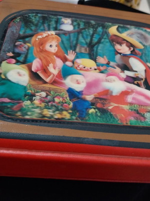 Vintage 70s case used with 3D image