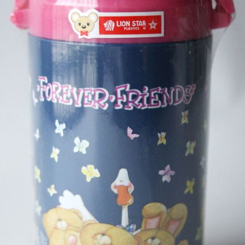 Vintage Forever Friends Kids Water Bottle Lion Star new