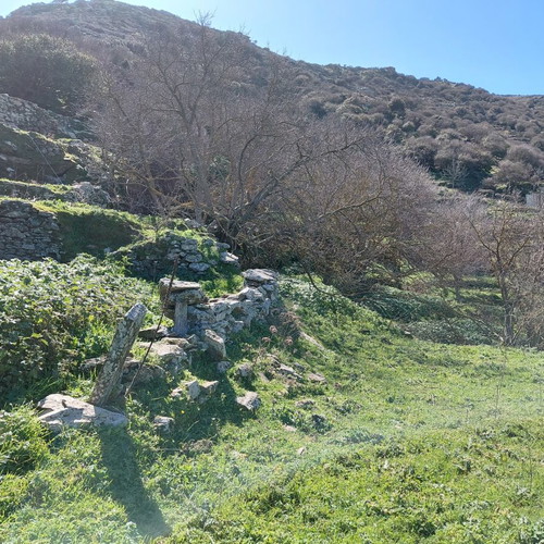 Land plot in Arni, Andros, 3 stremmata with sea view, water and electricity