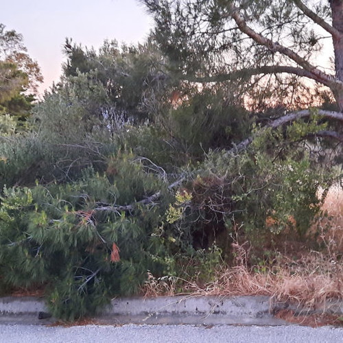 Land 1,500 m² in Drafi, corner plot, within city plan