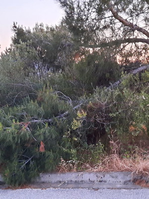 Οικόπεδο 1.500 m² στο Ντράφι, γωνιακό, εντός σχεδίου πόλεως