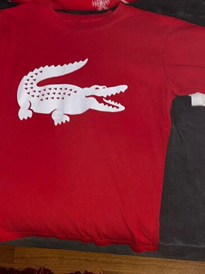 Set of 3 children's T-shirts size 12 like new