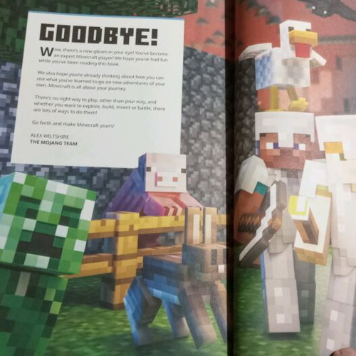 Minecraft for Beginners book new, hobby