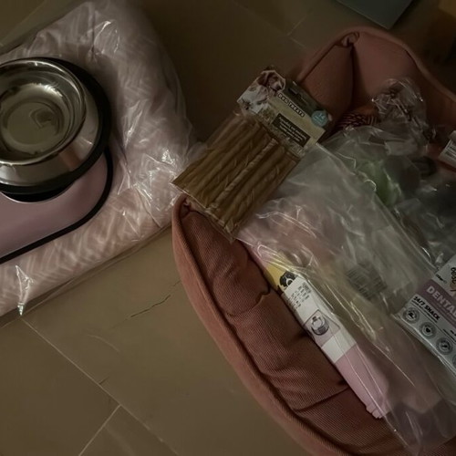 Pet supplies for small and medium dogs new, set with bed and toys