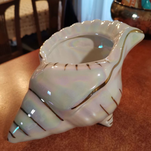 Ceramic decorative shell like new