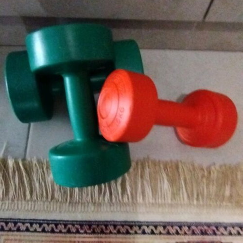 Plastic Coated Dumbbells like new for Fitness