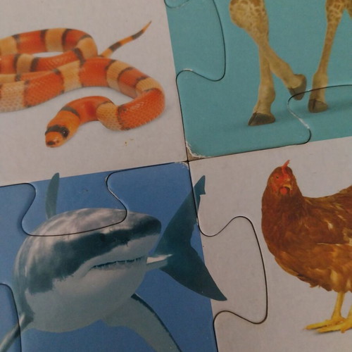 Animal Floor Puzzle used by Susaeta with Book