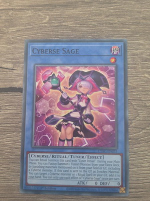 Cyberse Sage Yu-Gi-Oh! card