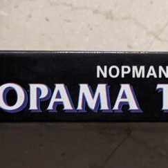 The Vision of Pleasure like new, foreign novel by Norman Mailer