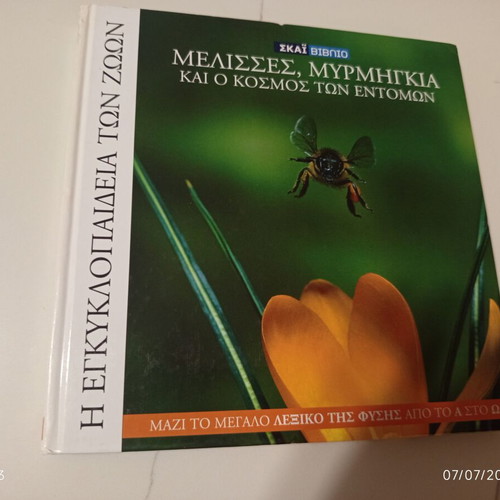 The Encyclopedia of Animals Volume 16 used, Bees, Ants and the World of Insects