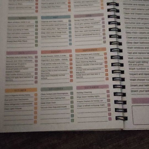 Cleaning and Decluttering Book like new
