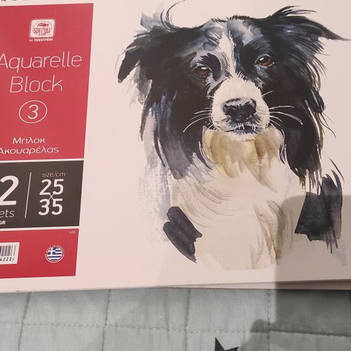 Art supplies set like new with oil pastels, watercolors, colored pencils, and watercolor block