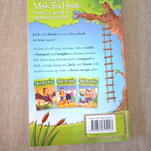 Magic Tree House Castle of Mystery book like new
