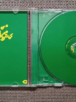 Two Lone Swordsmen Tiny Reminders CD like new, electronic