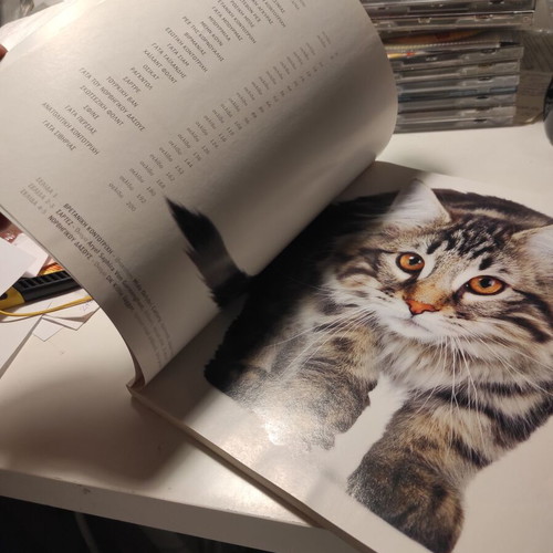Cats breeds, care, behavior like new book