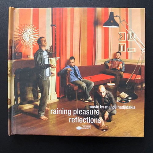 Raining Pleasure Reflections CD like new, entechno