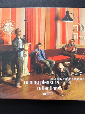Raining Pleasure Reflections CD like new, entechno