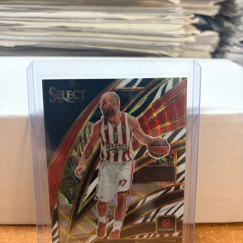 2025-26 Select Euroleague Vassilis Spanoulis Courtside Zebra SSP card new