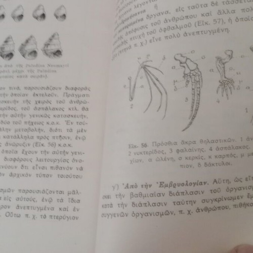 Stoicheia Genikis Viologias textbook used, 1940 OESV edition