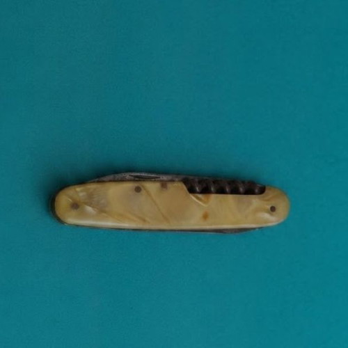 Gebrüder Richartz & Söhne vintage pocket folding knife, celluloid handle