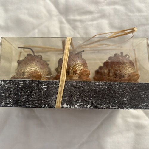 Tealight candles seashell set of 6 new in box