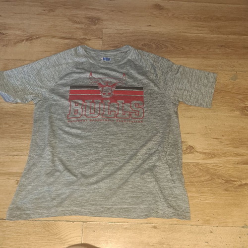 NBA Bulls men's t-shirt, gray, size L
