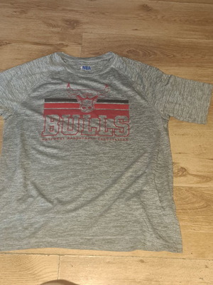 NBA Bulls men's t-shirt, gray, size L