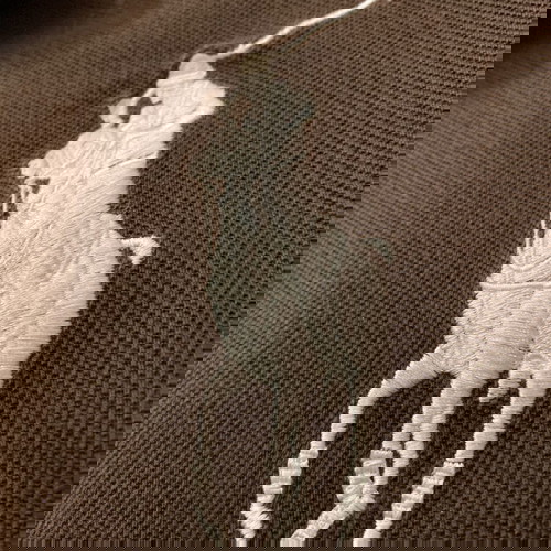 POLO RALPH LAUREN. -XXL μέγεθος