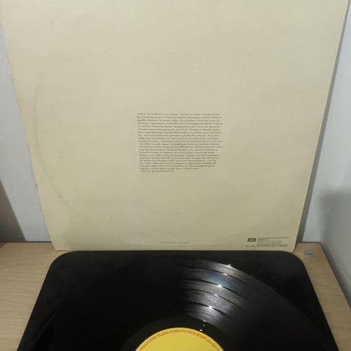Pet Shop Boys Please vinyl record used, electronic genre