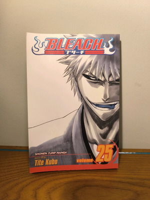 Bleach Manga Volume 25 like new