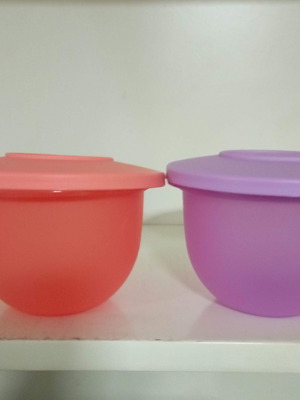 Εξπρέσιον Μπωλ 2 τεμάχια 550ml καινούργια