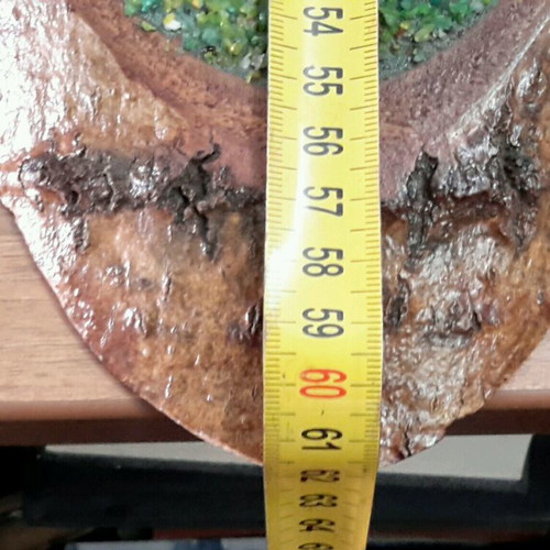 Petroglyph on linden wood like new with precious stones