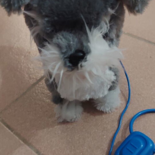 Walking and barking toy dog like new, battery operated