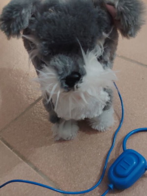Walking and barking toy dog like new, battery operated