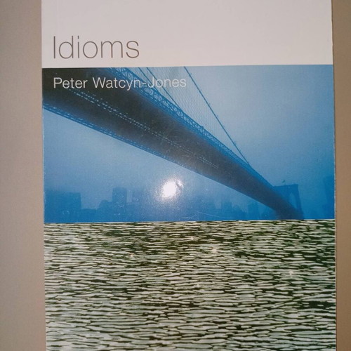 Test Your Idioms book like new, self-study edition